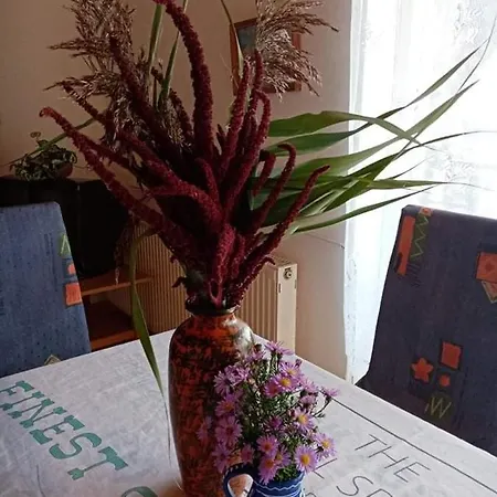 Badacsonyi Magan Szallas Apartament *